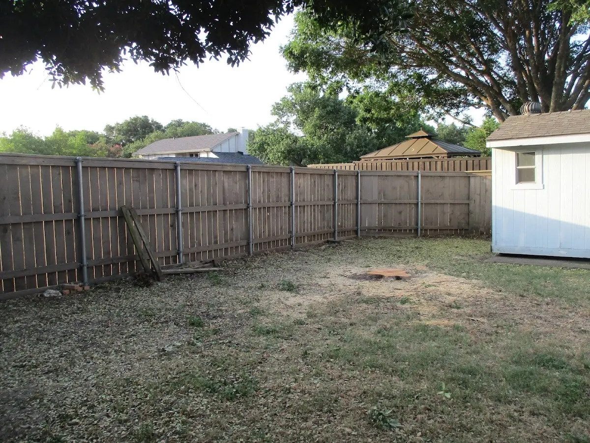 Cleared yard after professional tree removal in Fish Creek