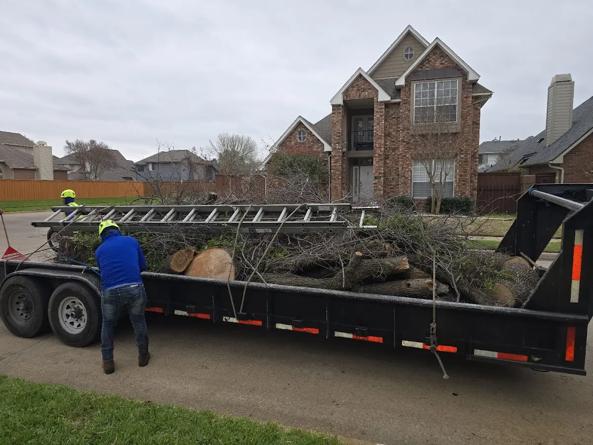 Expert Lot Clearing with proper safety equipment in Fish Creek
